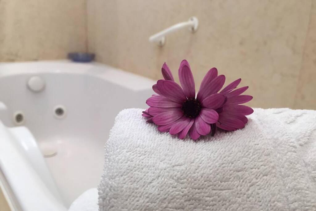 Quinta Barracuda Daire Albufeira Dış mekan fotoğraf